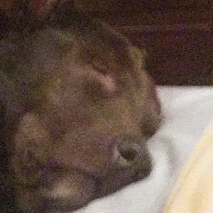 Meet your Posher, Sean